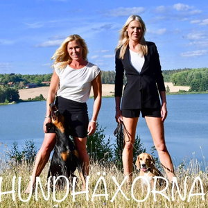 HUNDHÄXORNA
