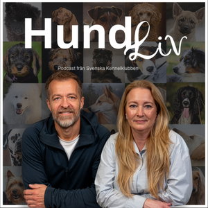 Hundliv