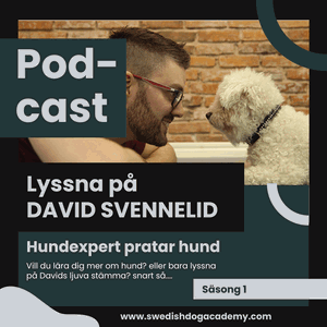 Hundpedagogen