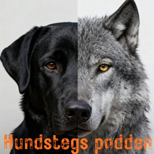 Hundstegs podden