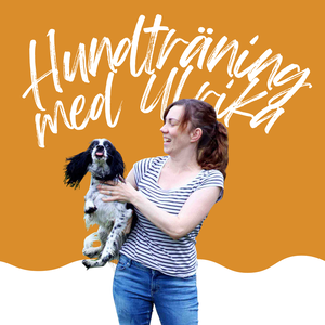 Hundträning med Ulrika
