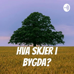Hva skjer i bygda?