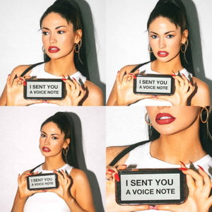 i sent you a voice note