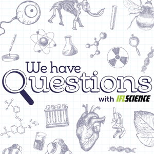 IFLScience - We Have Questions