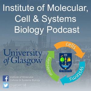 IMCSB Podcast