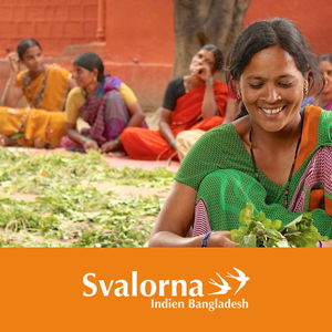 Indienpodden - Svalorna Indien Bangladesh