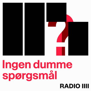 Ingen dumme spørgsmål