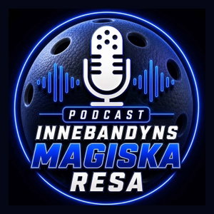 Innebandyns Magiska Resa