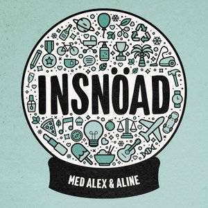 Insnöad