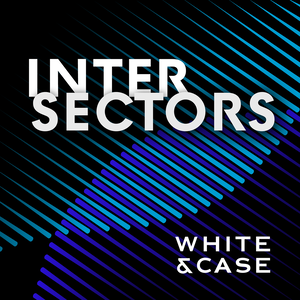 InterSectors: Legal perspectives on global business