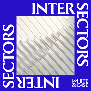 InterSectors: Legal perspectives on global business
