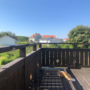 Ismos tankar från altanen