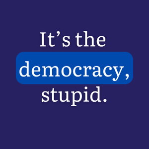 It's the Democracy, Stupid Full Episodes