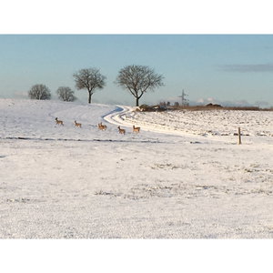 J'aime la chasse? Journal