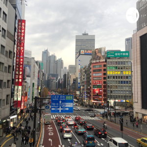Japaneview
