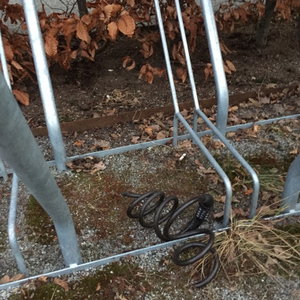 Jäveln som snodde min cykel kommer att DÖ