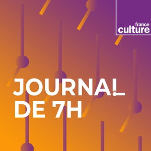 Journal de 7 h