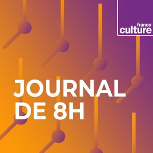 Journal de 8 h