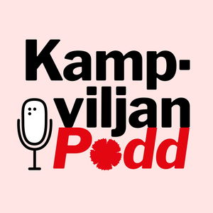 Kampviljan