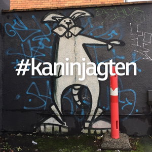 Kaninjagten
