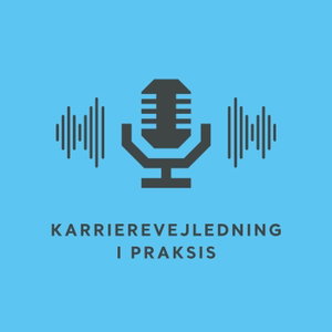 Karrierevejledning i praksis