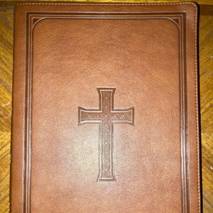 KJV Daily Bible Reading - New Testament