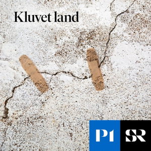 Kluvet land