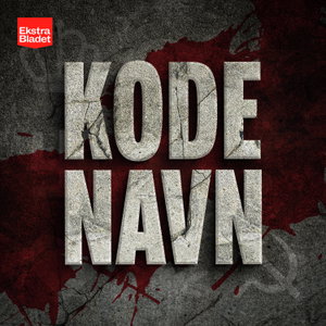 Kodenavn