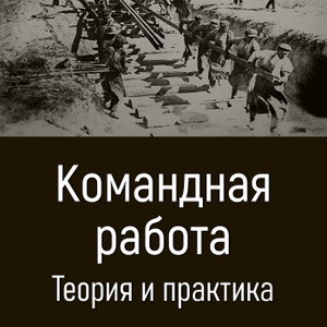 Командная работа. Теория и практика