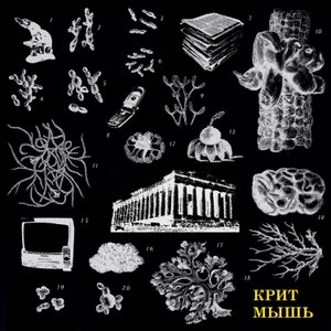 КритМышь