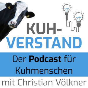 Kuhverstand