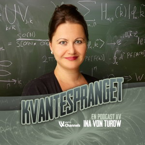Kvantespranget