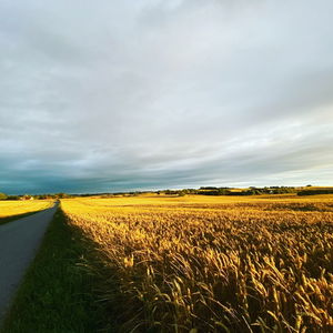 Kvantespring med vilje - en upoleret podcast omkring praktisk forandringsarbejde.