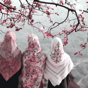 Kvinder i islam