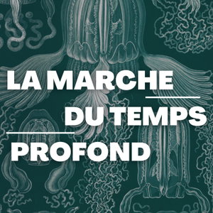 La marche du temps profond