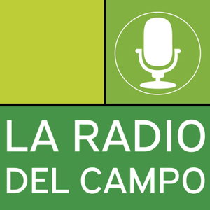 La Radio Del Campo