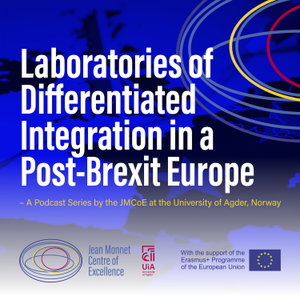 Laboratories of Differentiated Integration in a Post-Brexit Europe
