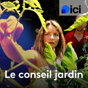 Le conseil jardin de Jacques Ginet