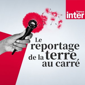 Le reportage de la terre au carré