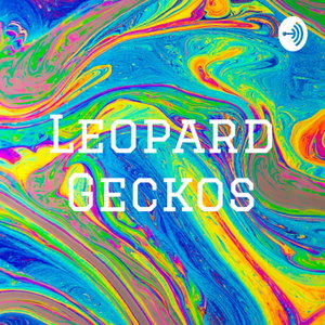 Leopard Geckos