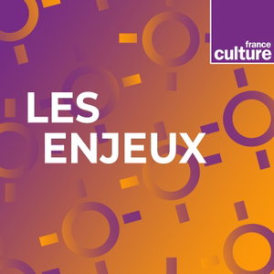 Les Enjeux