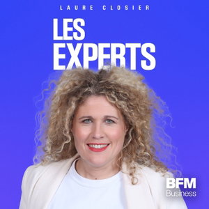 Les experts