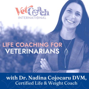 Life Coaching for Veterinarians 