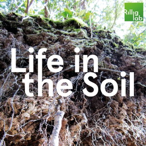 Life in the Soil