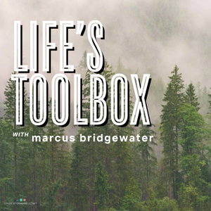 Life's Toolbox