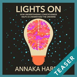 LIGHTS ON AUDIO DOCUMENTARY TEASER