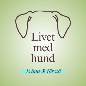 Livet med hund