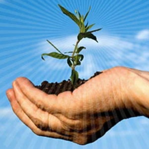 Living Green
