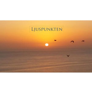 Ljuspunkten