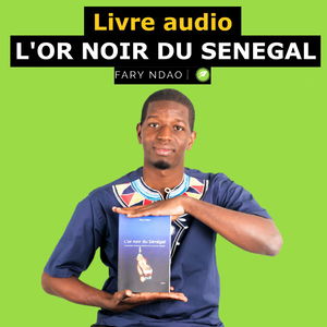 L'or noir du Sénégal : Comprendre l'industrie pétrolière et ses enjeux au Sénégal